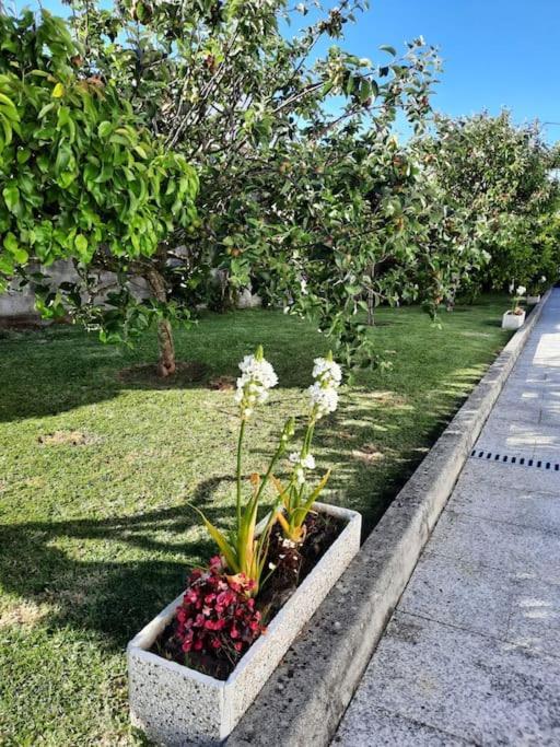 Apartamento Ático en O Grove con jardín  Exterior foto